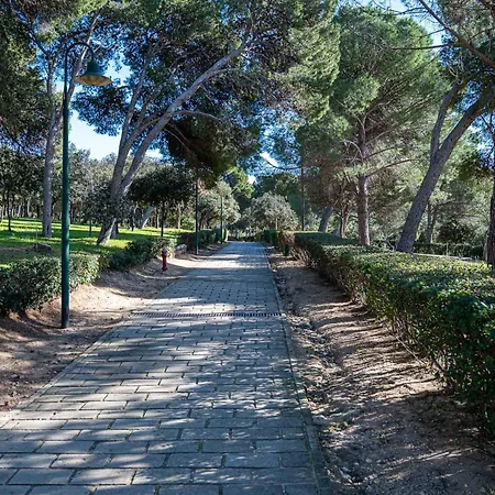 Appartement Silenzioso E Spazioso In Centro Cagliari